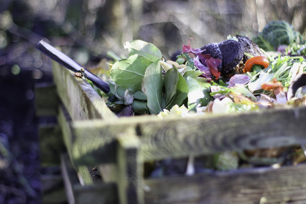 Practical Skills: Building a Wooden Compost Bin